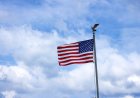 SC Blocks Trumph's Order to end birthright citizenship